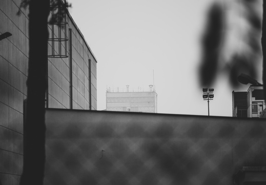 IMG 0006